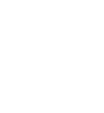 Steam